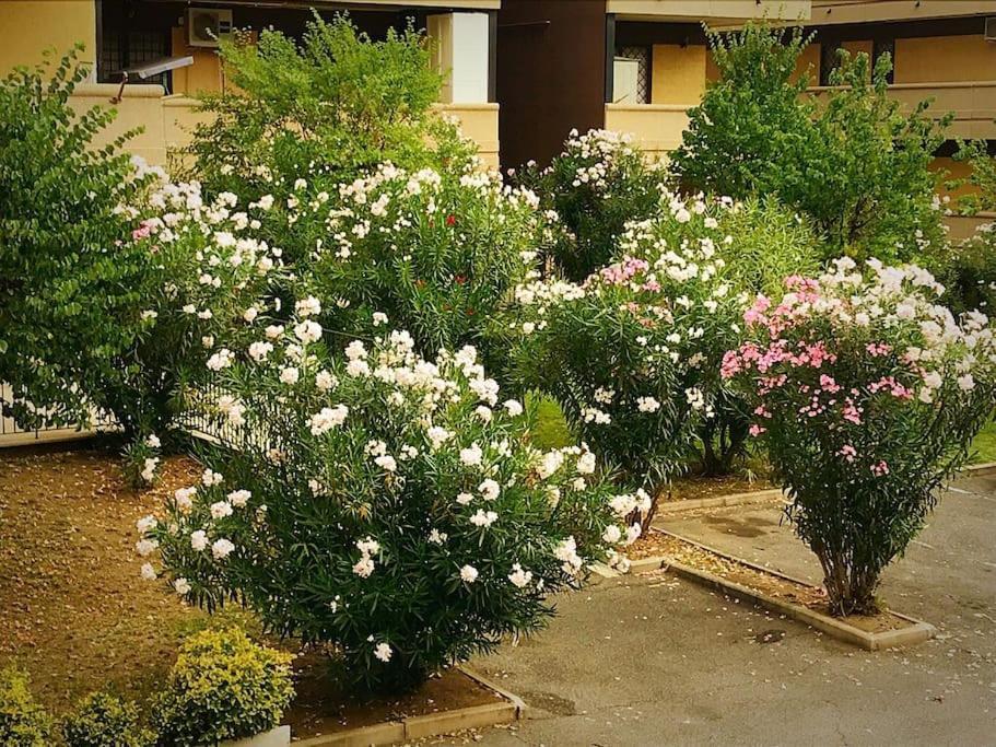 Apartment With Private Parking - Roma Est. Lunghezza 외부 사진